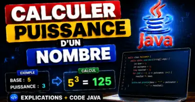 calculer-la-puissance-dun-nombre-en-java