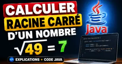 calculer-la-racine-carre-dun-nombre-en-java