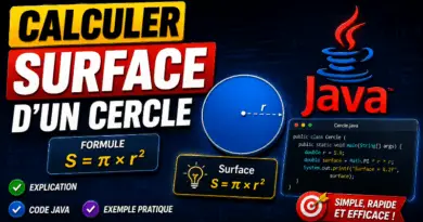 calculer-la-surface-dun-cercle-en-java