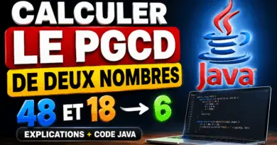 calculer-le-pgcd-de-deux-nombres-en-java
