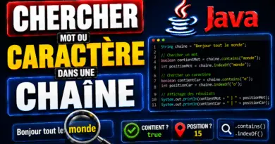 chercher-un-mot-ou-un-caractere-dans-une-chaine-de-caracteres-java