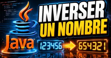 comment-inverser-un-nombre-en-java