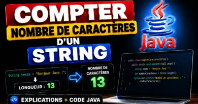compter-le-nombre-de-caracteres-dun-string-java