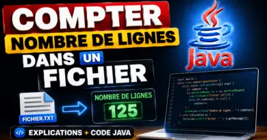 compter-le-nombre-de-lignes-dans-un-fichier-java