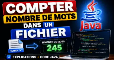 compter-le-nombre-de-mot-dans-un-fichier-java