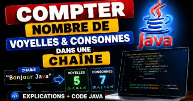 compter-le-nombre-de-voyelle-et-consonnes-dans-une-chaine-en-java