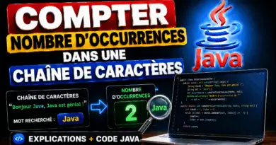compter-le-nombre-doccurrences-dans-une-chaine-de-caracteres-java