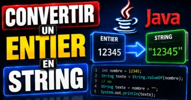 convertir-un-entier-en-chaine-de-caracteres-java