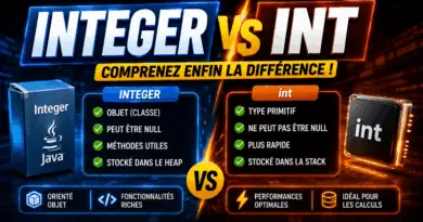 difference-entre-integer-et-int-en-java