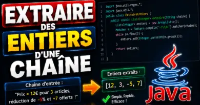 extraire-des-entiers-dune-chaine-de-caractere-en-java