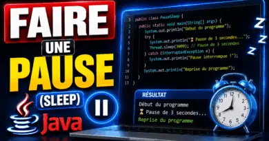 faire-une-pause-en-java