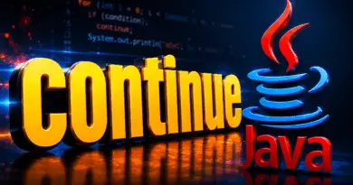 java-continue