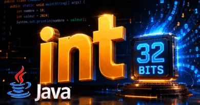 java-int