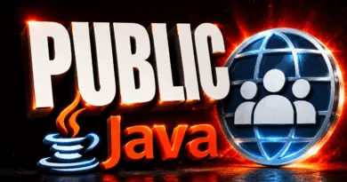 java-public1