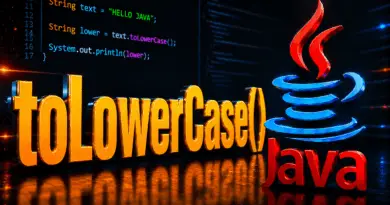 java-tolowercase