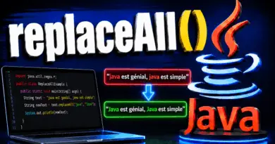 la-methode-replaceall-en-java-les-collections