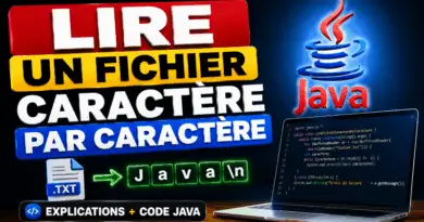 lire-un-fichier-caractere-par-caractere-en-java