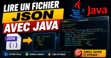 lire-un-fichier-json-avec-java