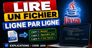 lire-un-fichier-ligne-par-ligne-en-java