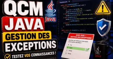 qcm-java-gestion-des-exceptions