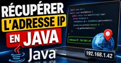 recuperer-ladresse-ip-en-java