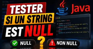 tester-si-un-string-est-null-java