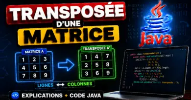 transposee-dune-matrice-java