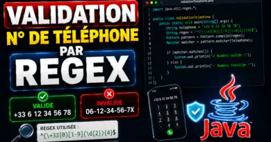 validation-dun-numero-de-telephone-par-regex-en-java