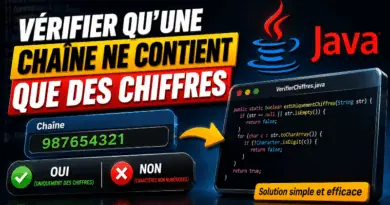 verifier-quune-chaine-ne-contient-que-des-chiffres-en-java