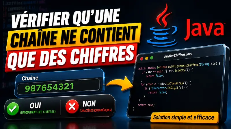 verifier-quune-chaine-ne-contient-que-des-chiffres-en-java