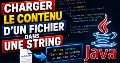 charger-le-contenu-dun-fichier-dans-une-string-en-java
