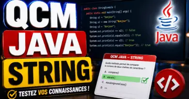 qcm-java-string