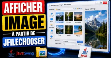 afficher-une-image-a-partir-dun-jfilechooser-swing-java