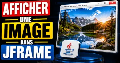 afficher-une-image-dans-un-jframe