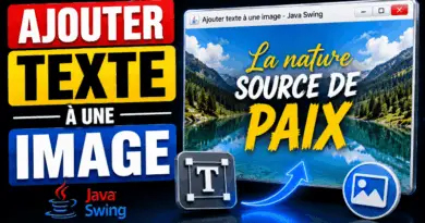 ajouter-du-texte-a-une-image-en-java