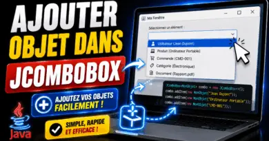 ajouter-un-objet-dans-un-jcombobox-java