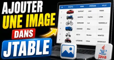 ajouter-une-image-dans-un-jtable