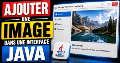 ajouter-une-image-dans-une-interface-java