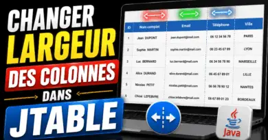 changer-la-largeur-des-colonnes-dans-une-jtable-en-java
