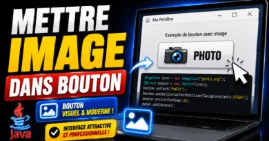comment-inserer-une-image-dans-un-jbutton
