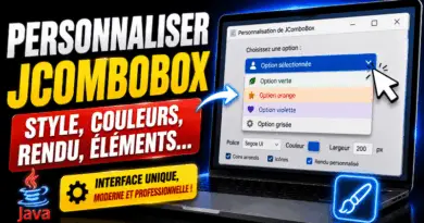 comment-personnaliser-jcombobox