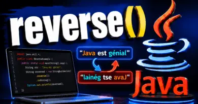 la-methode-reverse-en-java-les-collections