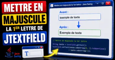 mettre-en-majuscule-la-premiere-lettre-dun-jtextfield-java