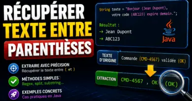 recuperer-du-texte-entre-des-parentheses-en-java