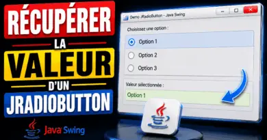 recuperer-la-valeur-dun-jradiobutton-swing-java