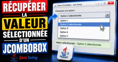 recuperer-la-valeur-selectionne-dun-jcombobox-java