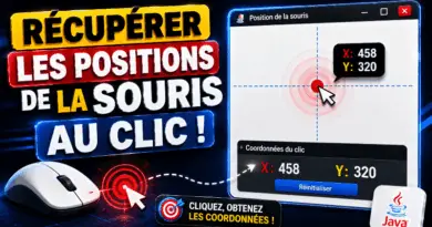 recuperer-les-positions-de-la-souris-au-clic-java-swing