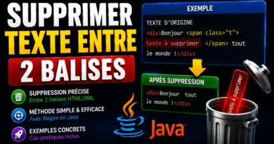 supprimer-du-texte-situe-entre-deux-balises-en-java