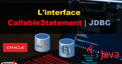 L'interface CallableStatement JDBC - Java