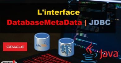 L'interface DatabaseMetaData JDBC - Java